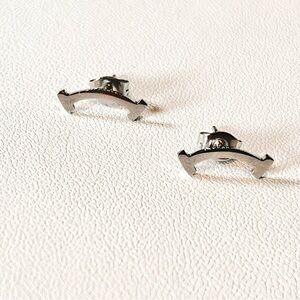 💎 Luxury Silver Stud Earrings